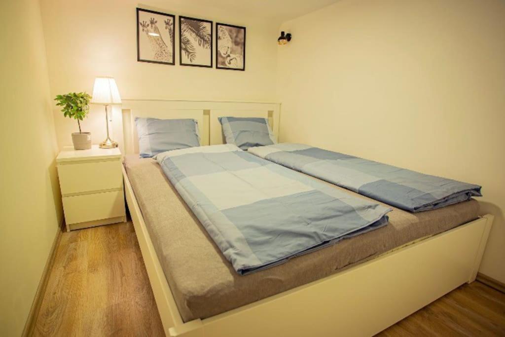 Cosy 2 Bedroom Flat In Akacfa St., Sol 부다페스트 외부 사진