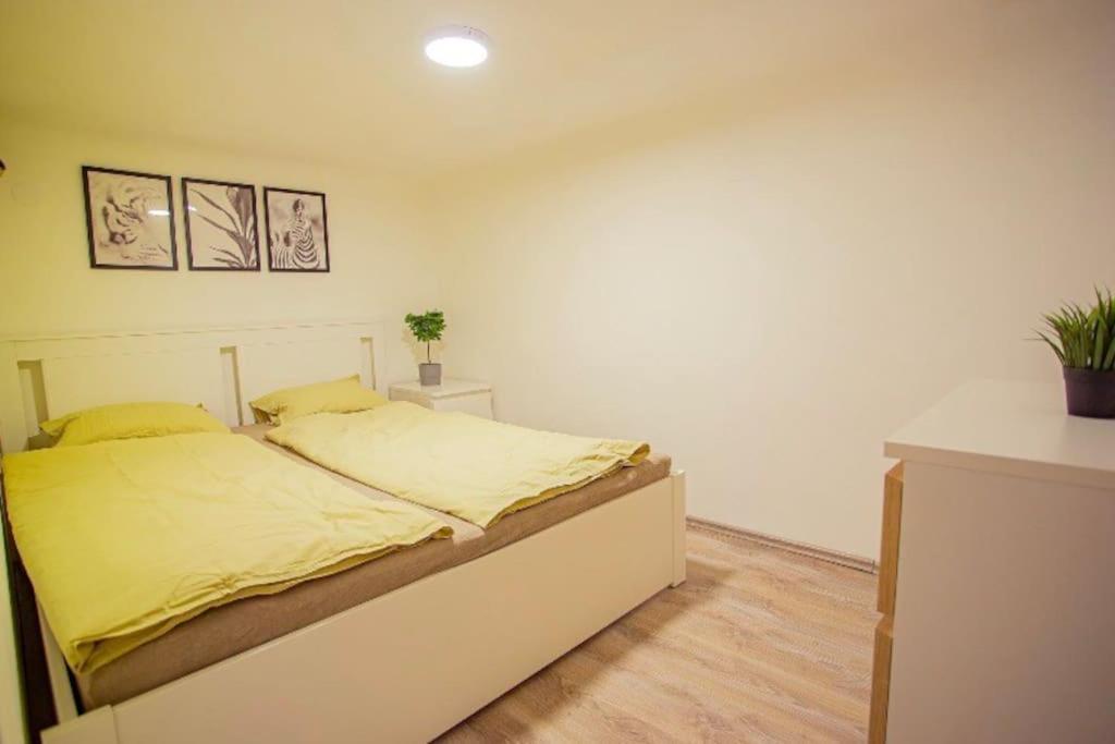 Cosy 2 Bedroom Flat In Akacfa St., Sol 부다페스트 외부 사진